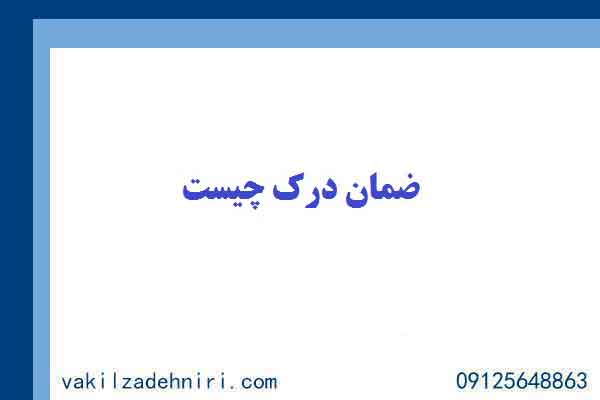 ضمان درک چیست